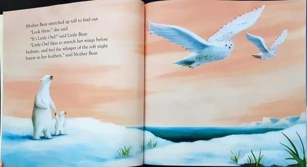 หนังสือนิทานปกอ่อน** 🍅🍓Bedtime for little Bears!