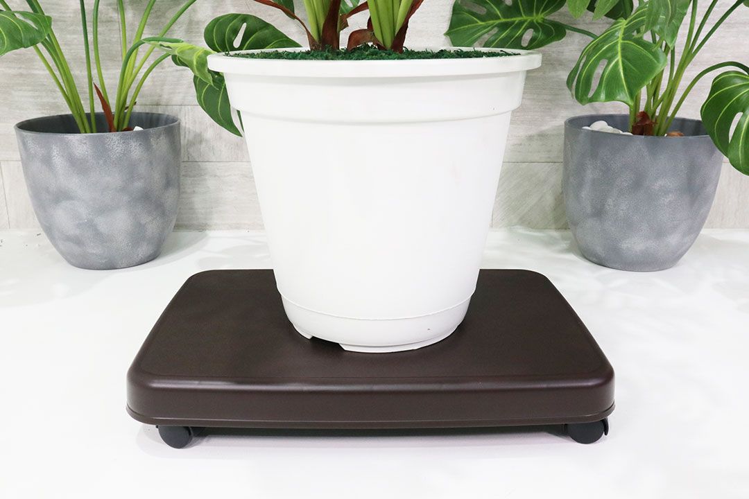 Cart ฐานรองพลาสติก แบบรถเข็น 5 ล้อ JP Quality Size L 28x41x7cm