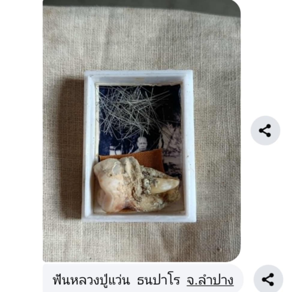 พระทันตธาตุ พระเกศาหลวงปูู่่แว่น วัดถ้ำพระสบาย จ.ลำปาง ได้มาจากคุณจรัลพงษ์ เป็นชาวจังหวัดอุตรดิตถ์ อาชีพเคยรับเหมาสร้างบ้าน อาคารในภาคเหนือ ตาม จ.ลำปาง จ.เชียงใหม่ ปัจจุบันคุณจรัลพงษ์ ป่วยอยู่ ท่านอายุ 68 ปี (บันทึก พ.ศ.2568) อาศัย อยู่จังหวัดลำปาง