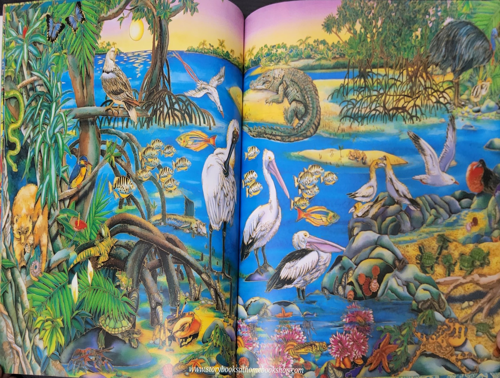 หนังสือนิทานปกอ่อน** 🍅🍓THE WORLD THAT WE WANT BY KIM MICHELLE TOFT