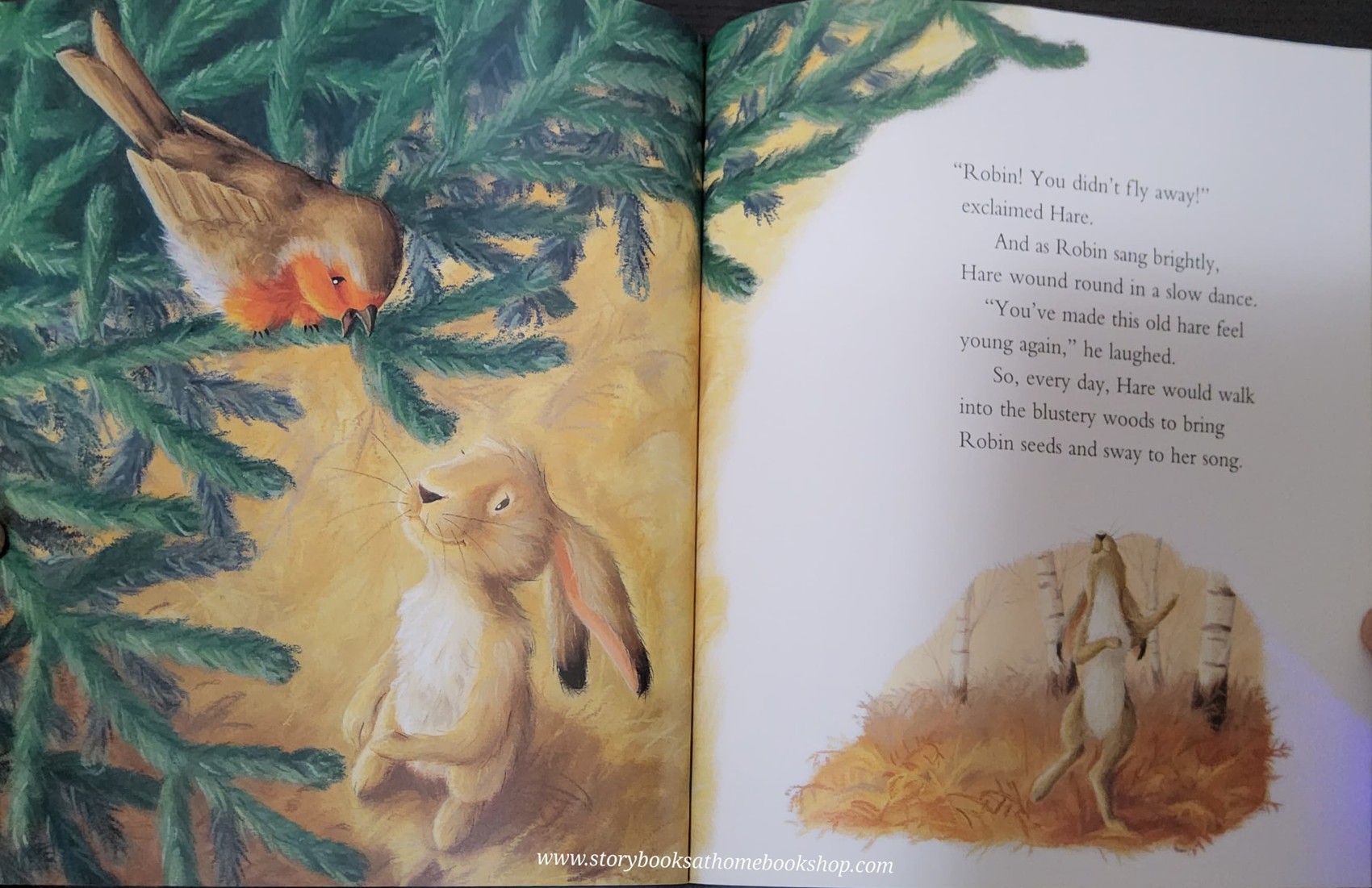 หนังสือนิทานปกอ่อน** 🍅🍓THE LITTLE LOST ROBIN