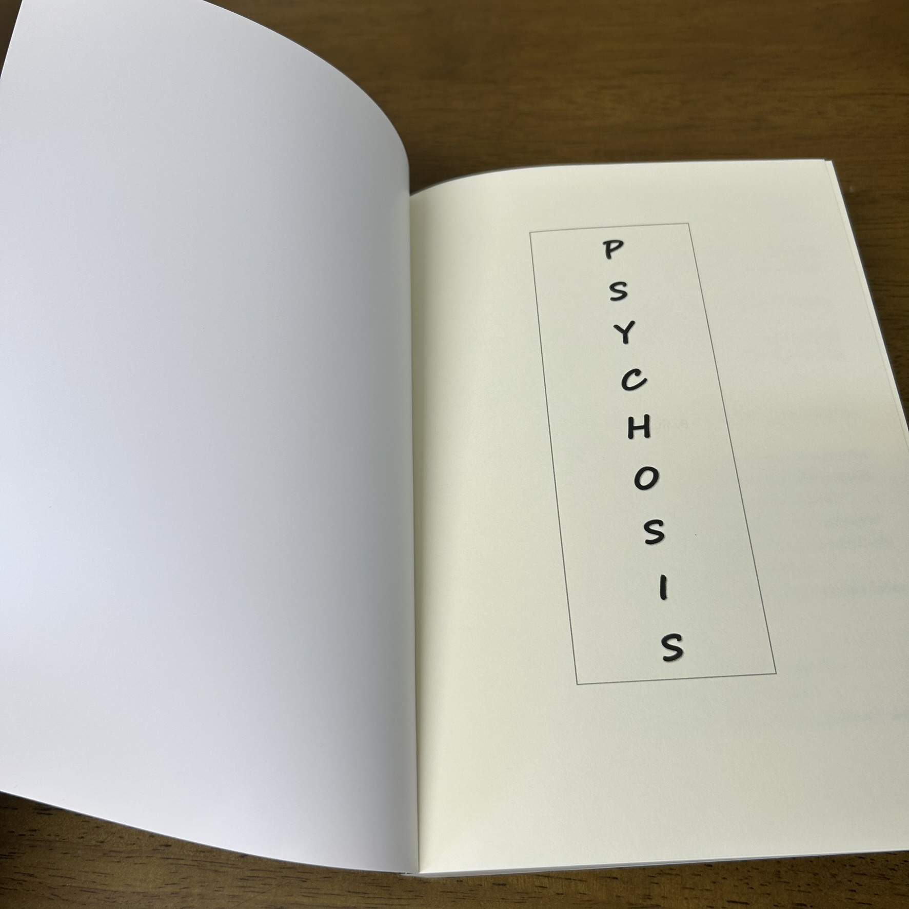 [YAOI] Psychosis! #ป๋อจ้าน+เล่มพิเศษ... พินู่มม (มือสอง) นิยายวาย