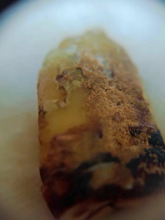 พระทันตธาตุ ครูบาเจ้าเลย วัดป่าบงงาม ต.โป่งงาม อ.แม่สาย จ.เชียงราย เดิมเป็นขอคุณลุงสงวน เคยรับใช้ครูบาเจ้าเลย ขับรถรับส่งครูบาเจ้าไปโรงพยาบาลและสถาน ที่ต่าง ๆ คุณสงวนอยู่บ้านป่าเหมือด อ.แม่สาย จ.เชียงราย ปัจจุบันคุณลุงสงวนเสียชีวิตแล้วตั้งแต่ปี 2558