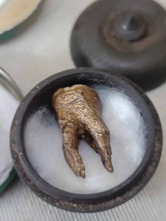 พระทันตธาตุครูบาดี ญาณวุฒิ วัดบ้านดอน อ.ป่าซาง จ.ลำพูน ได้มาจากปู่มา เล่าว่าท่านได้มาตอนครูบาดี ท่านยังทรงขันธุ์ 5 อยู่ เมื่อประมาณปี 2510 กว่า ๆ ท่านจำไม่ได้แล้ว ปัจจุบัน (บันทึก พ.ศ.2566) ปู่มาอายุ 88 ปี ท่านเป็นศิษย์สายตรง เคยรับใช้ครูบาดีมาก่อน