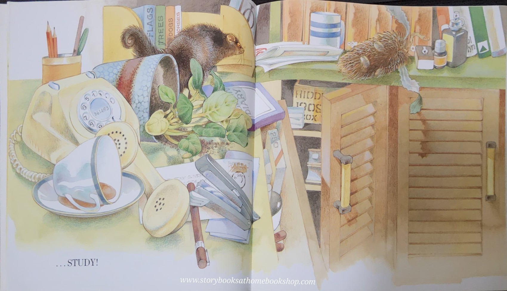 หนังสือนิทานปกอ่อน** 🍅🍅POSSUM IN THE HOUSE BY KIERSTEN JENSEN AND TONY OLIVER