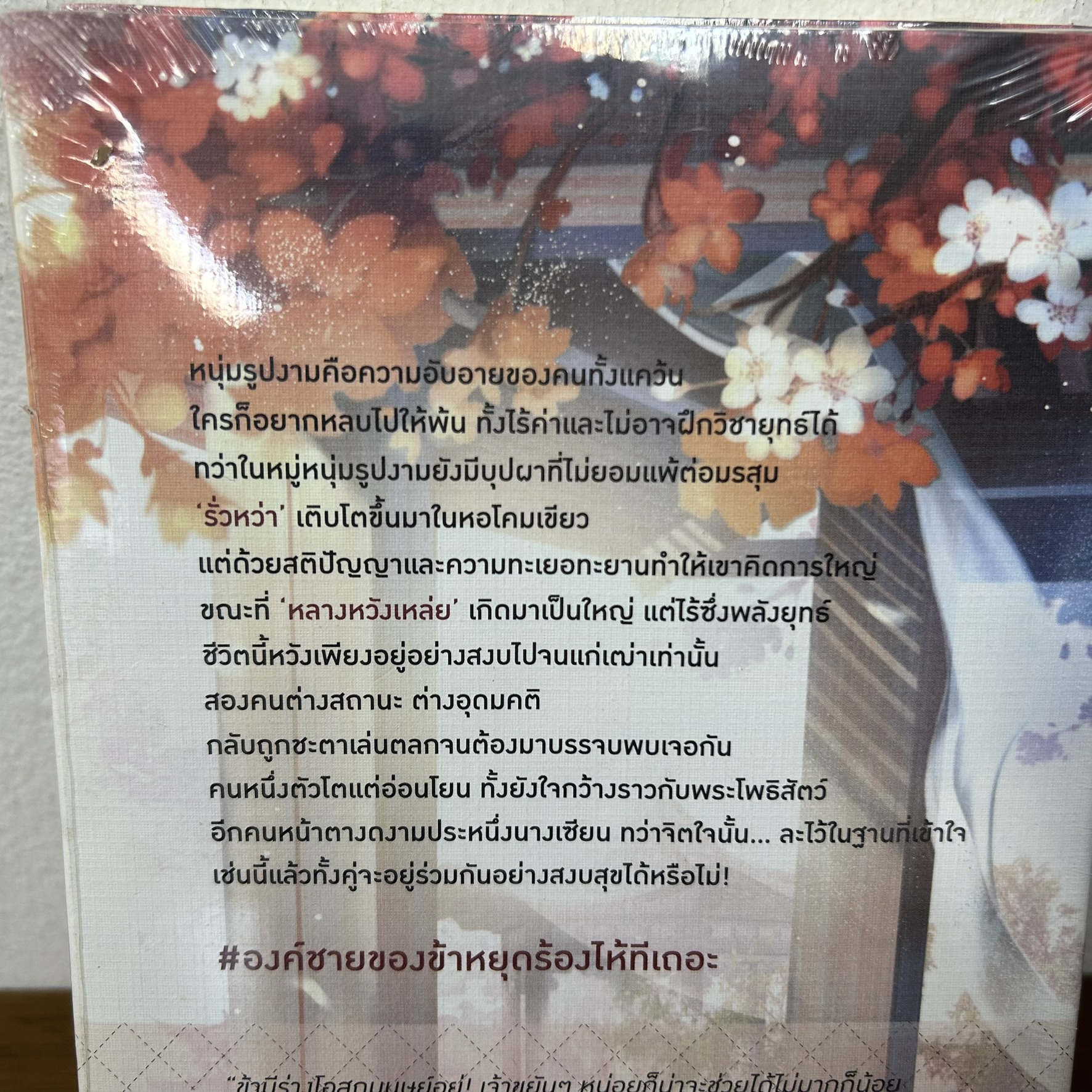 [YAOI] องค์ชายของข้าหยุดร้องไห้ทีเถอะ! ... Navvip (มือหนึ่งซีล) นิยายวาย DEEP