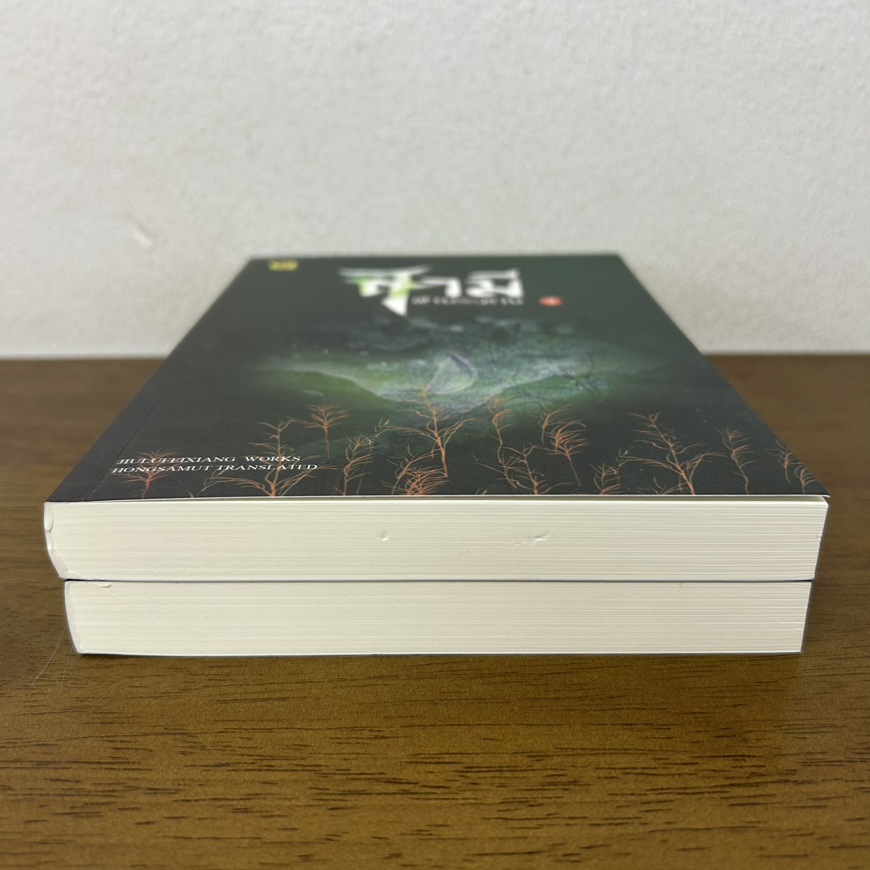 สามีฟ้าประทาน เล่ม 1-2 จบ ครบชุด ... จิ่วลู่เฟยเซียง Jiu Lu Fei Xiang (มือสอง) นิยาย แปลจีน ห้องสมุด