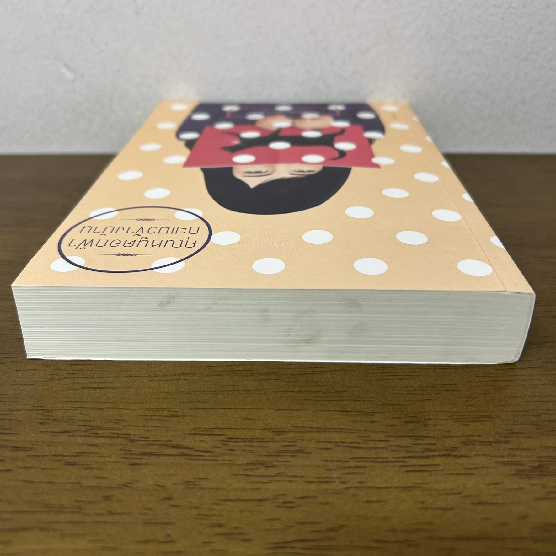 คุณหนูดอกฟ้ากะแมวข้างบ้าน ... กันยามาส (มือสอง) นิยาย โรแมนติก แสงดาว