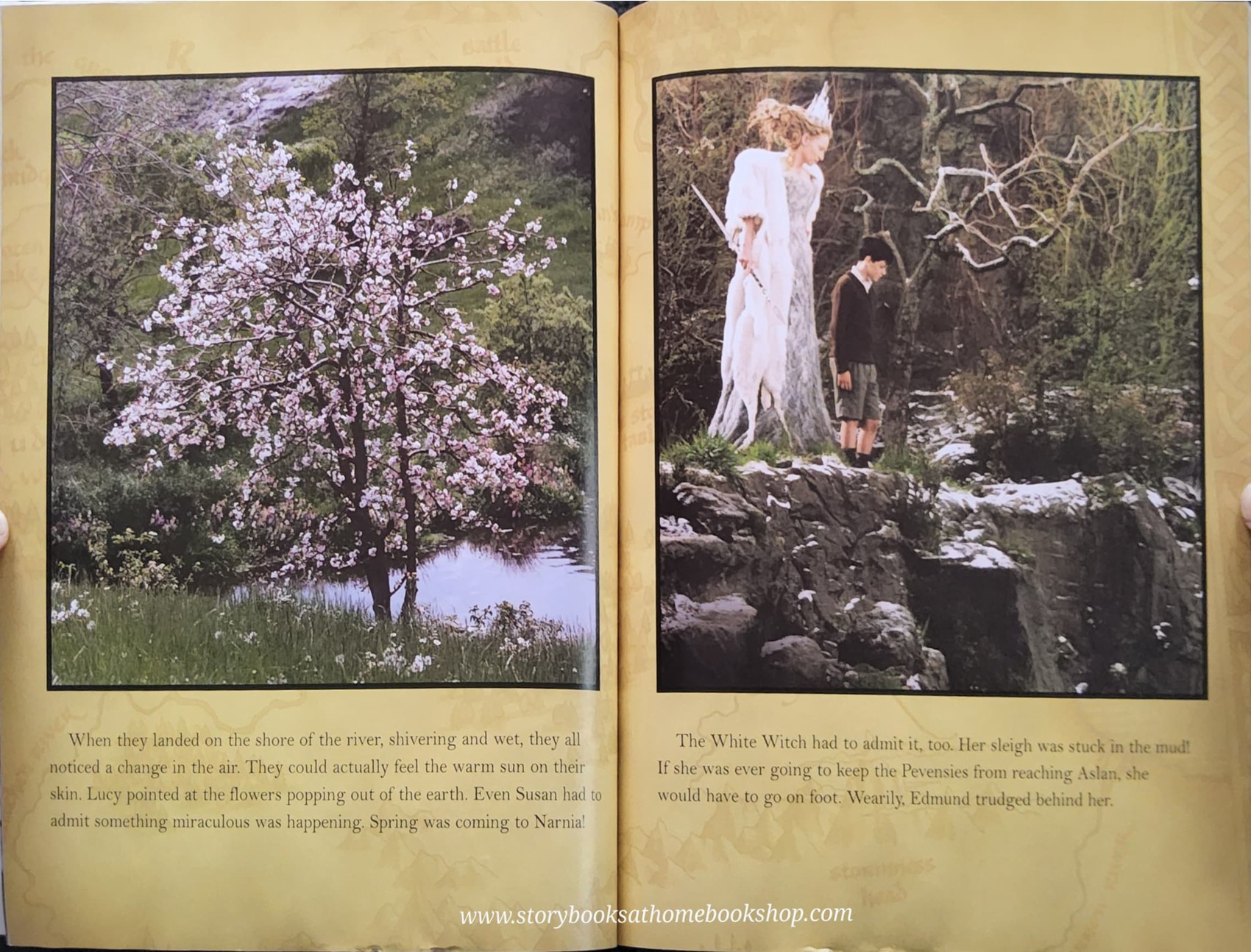 หนังสือนิทานปกอ่อน* 🍓🍓THE CHRONICLES OF NARNIA:THE LION THE WITCH AND THE WARDROBE