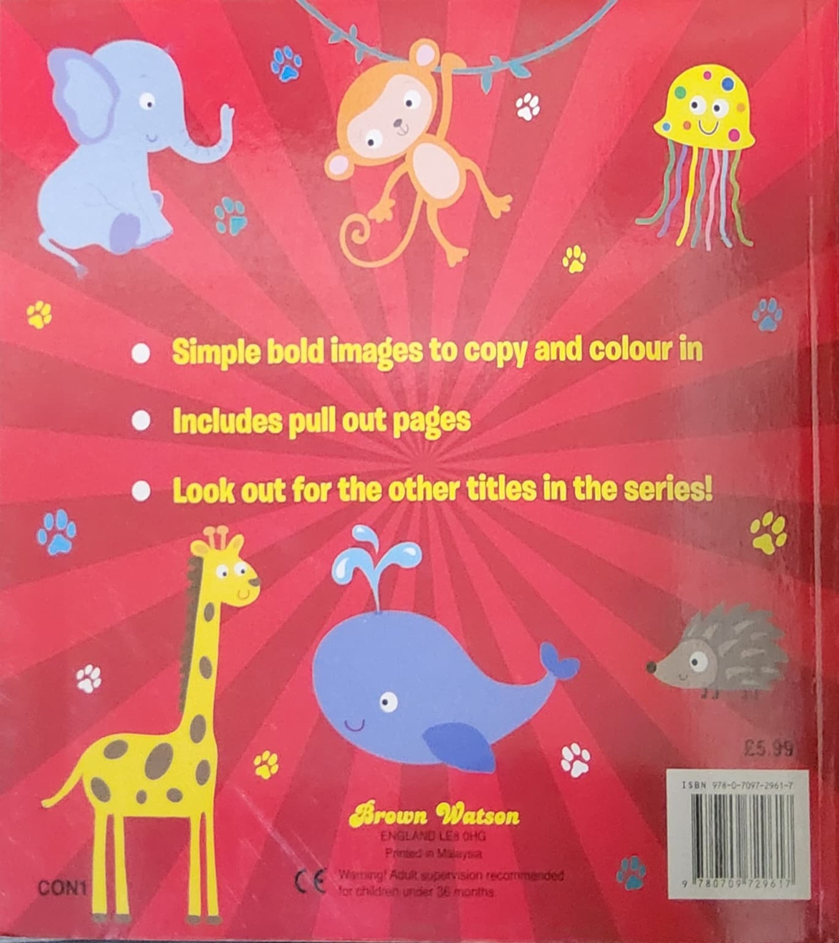 หนังสือวาดรูป Copy Colour