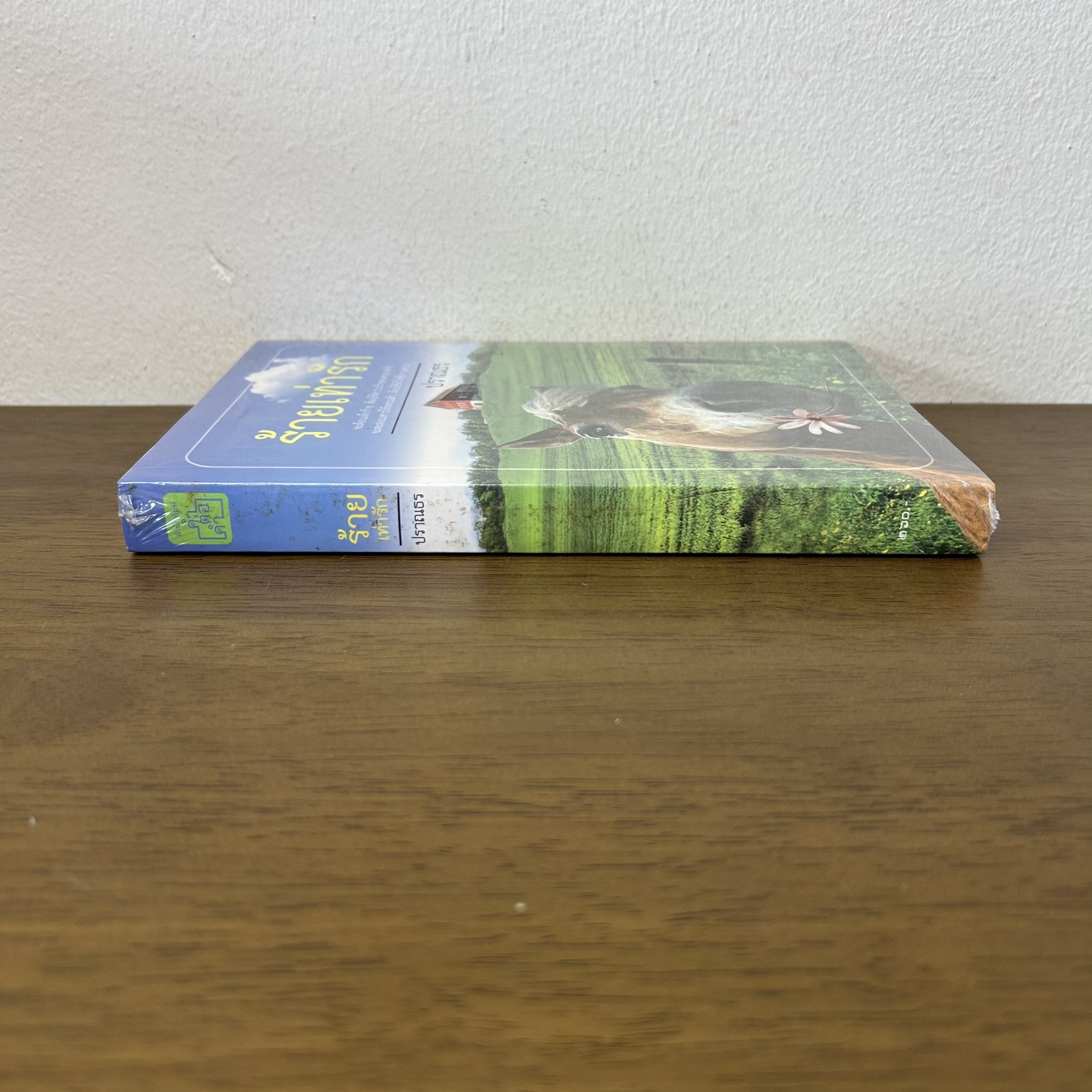 ร้ายเท่ารัก ... ปราณธร (มือสอง) นิยาย โรแมนติก ทำมือ