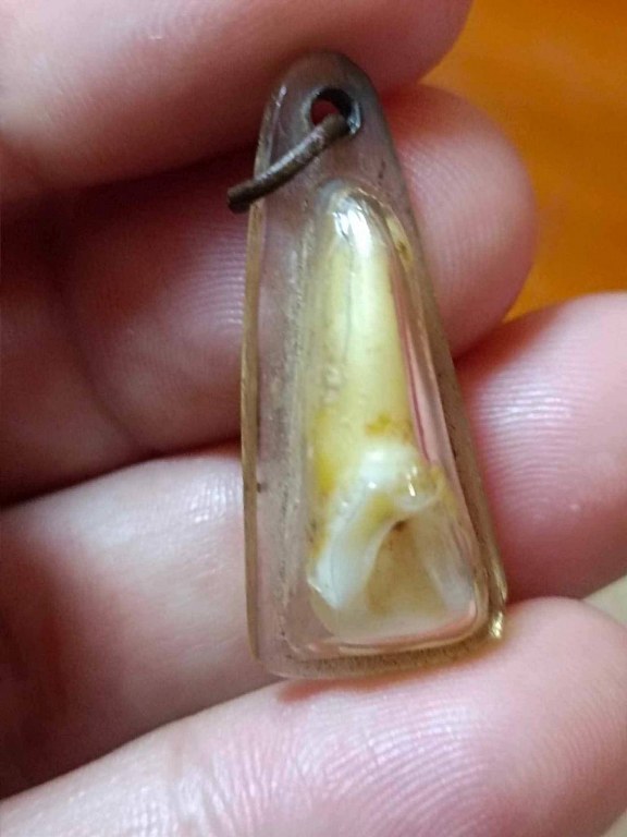 พระทันตธาตุ ครูบาขาวคำปัน วัดผาหนาม ท่านมรณภาพวัดพระธาตุหัวขัว ได้จากพ่อหนานชัยเดช ท่านเป็นคนทุ่งหัวช้าง จ.ลำพูน พ่อหนานชัยเดช ท่านได้รับพระทันตธาตุนี้มา ปี 2538 หลังจากครูบาขาวคำปันมรณภาพ พ่อหนานชัยเดชก็กลับมาอยู่บ้าน อ.ทุ่งหัวช้างจนเสียชีวิตเมื่อ