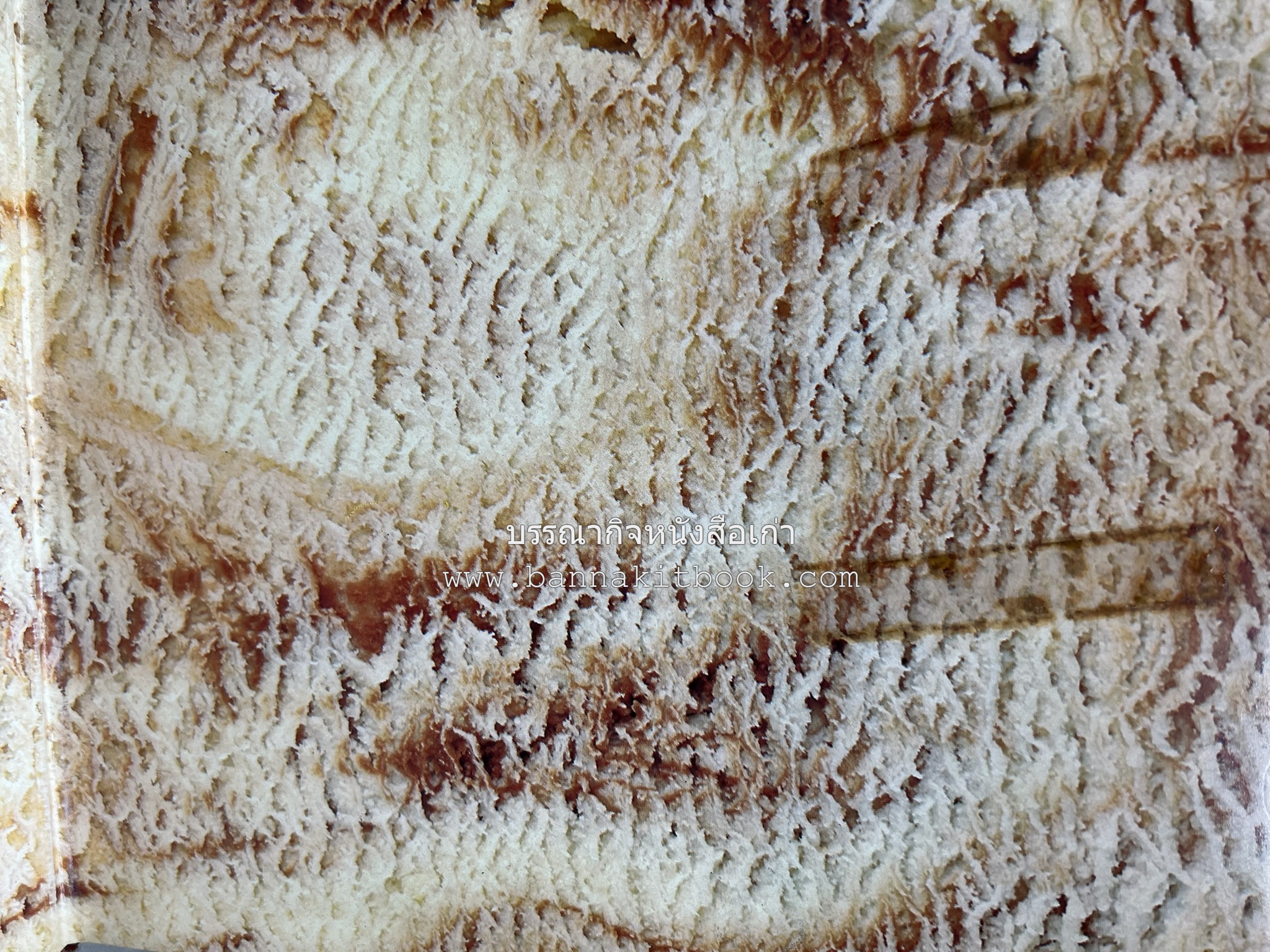 ตำราทำไอศกรีม (The Enjoy Ice Cream) โดย : Matthew Klein (ภาษาอังกฤษ).