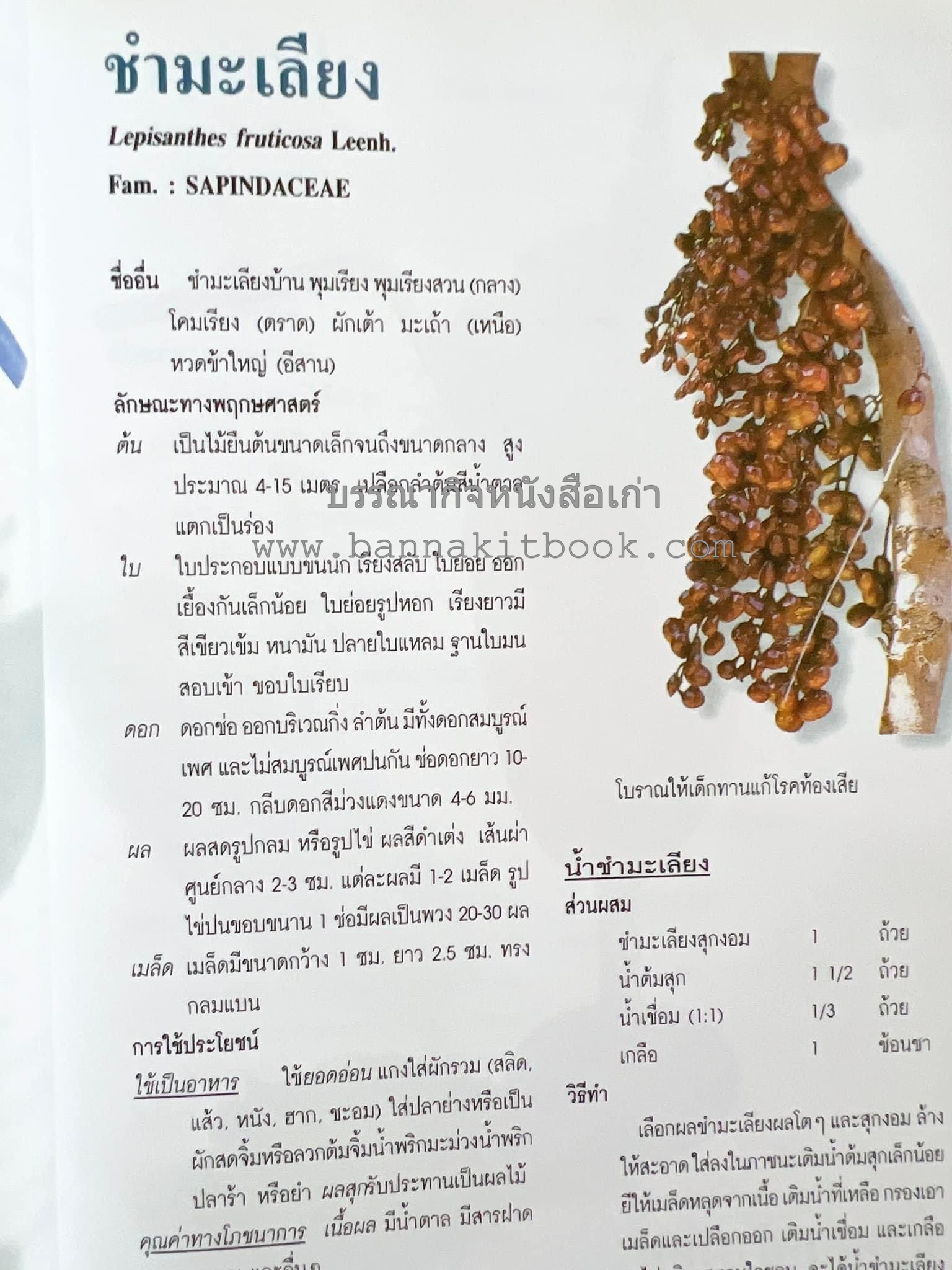 น้ำสมุนไพร 108 สูตร-วิธีทำจากผักพื้นบ้านและผลไม้ไทย โดย สถาบันการแพทย์แผนไทย.