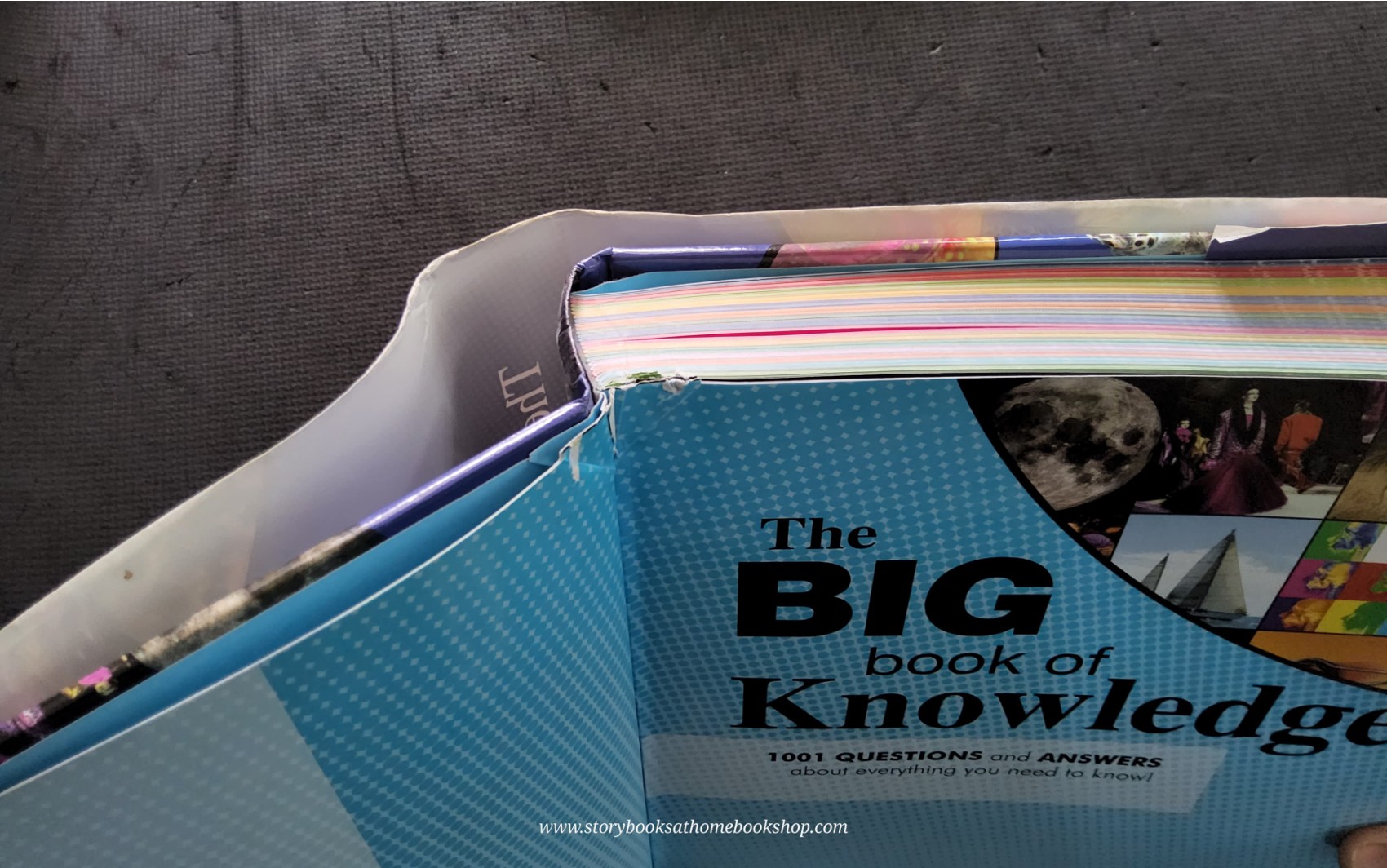 KNOWLEDGE BOOK** 🍅🍓THE BIG BOOK OF KNOWLEDGE (PUBLISHED 2010)