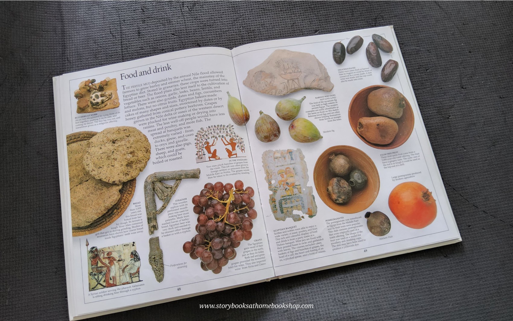 Knowledge Book** 🍅🍅EYEWITNESS: ANCIENT EGYPT