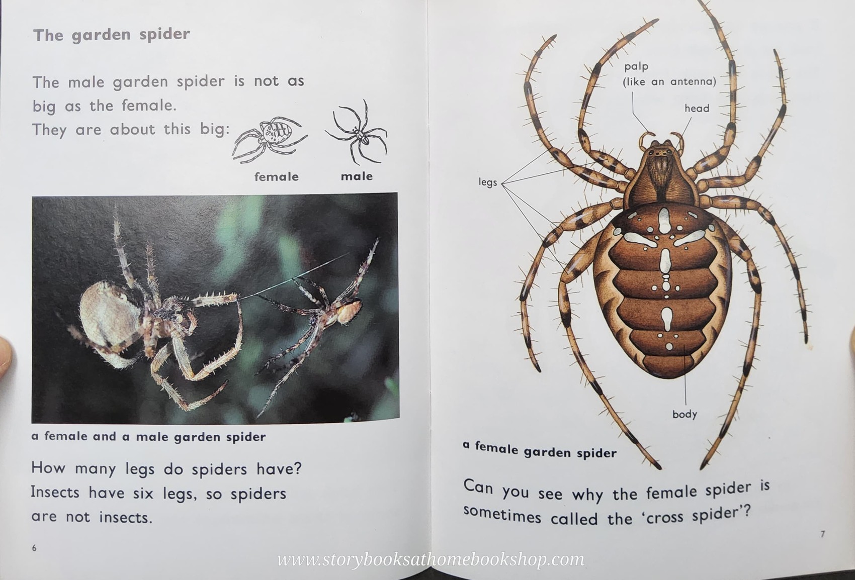 Knowledge Book** ð
ð
FUZZBUZZ FACTS: ANIMALS IN THE GARDEN LEVEL2