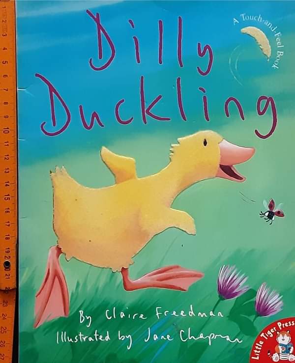 หนังสือนิทานปกอ่อน TOUCH AND FEEL** 🍓🍓 DILLY DUCKLING
