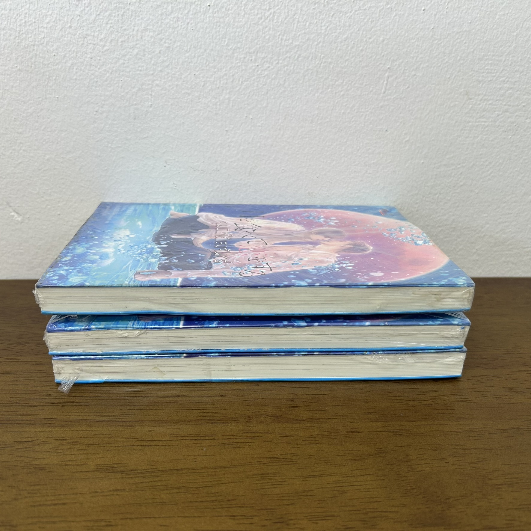 [YAOI] จุมพิตใต้แสงจันทร์ เล่มเดียวจบ ... Sano Fuyuko (มือหนึ่งขีดสัน) นิยายวาย มีดี Meedee