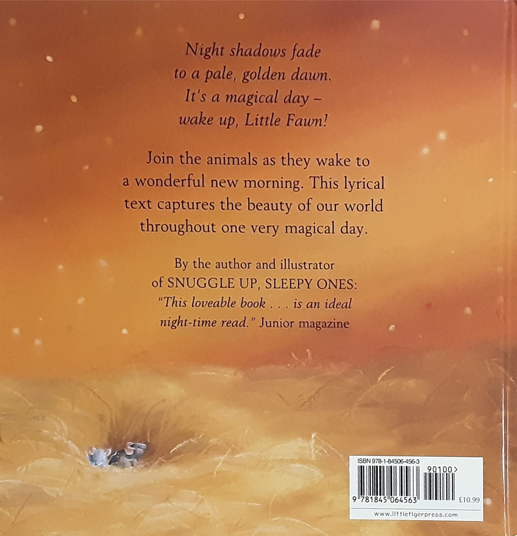 หนังสือนิทานปกแข็ง ** 🍅🍓 ONE MAGICAL DAY