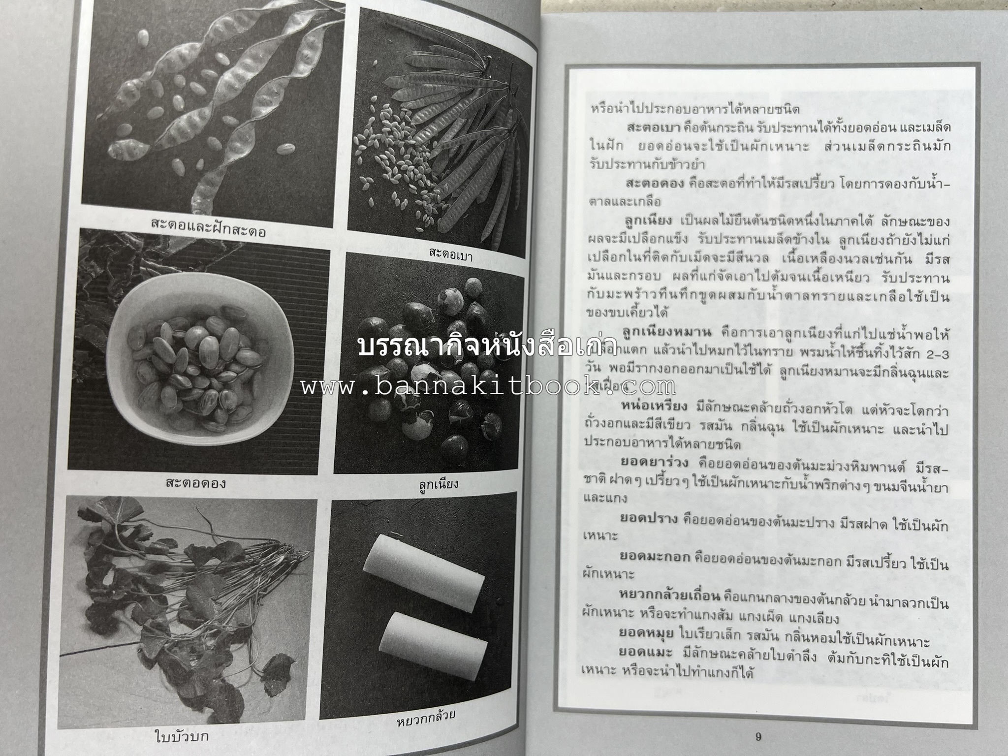 จานอาหารใต้ รวบรวมโดย : สำนักพิมพ์แสงแดด.