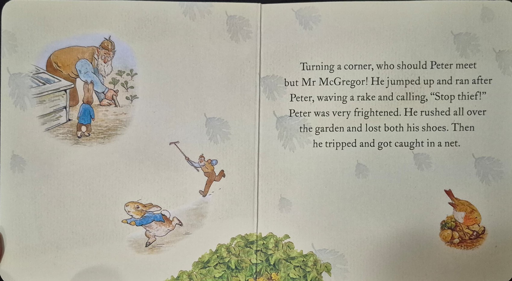BOARD BOOK** 🍅🍓THE TALE OF PETER RABBIT BY BEATRIX POTTER