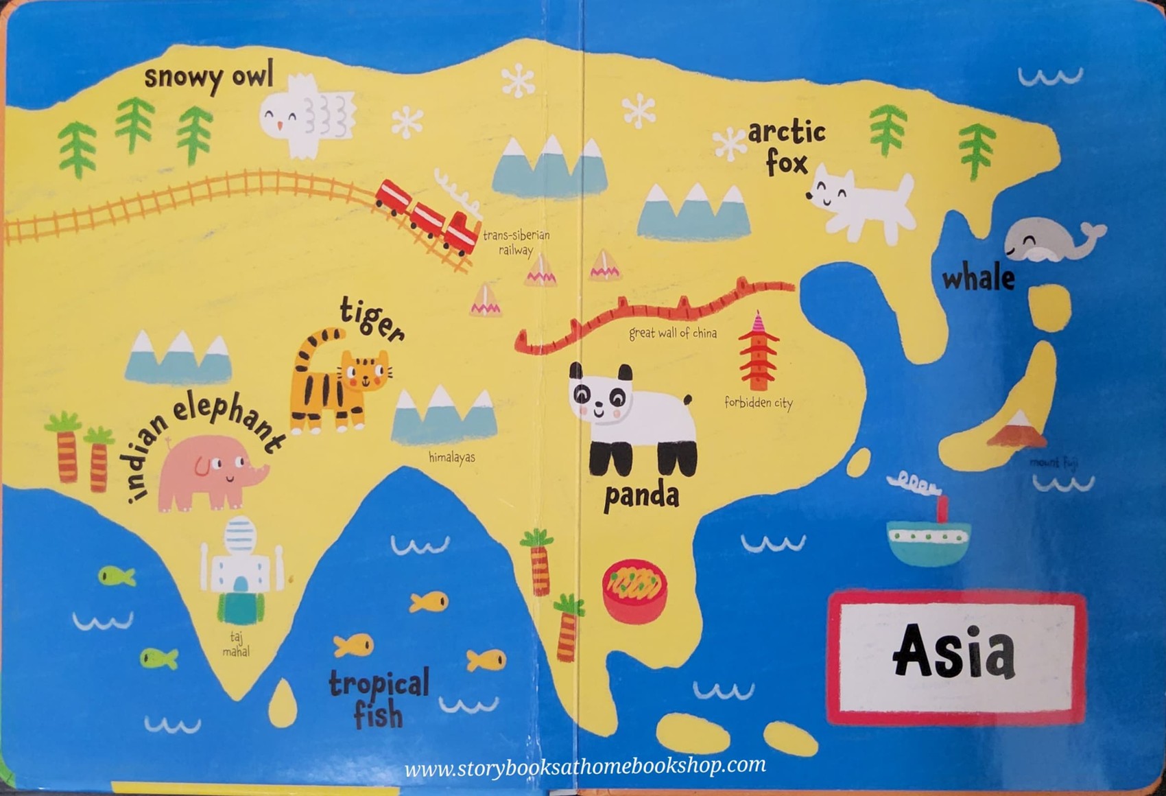 BOARD BOOK** 🍅🍅MY FIRST ATLAS