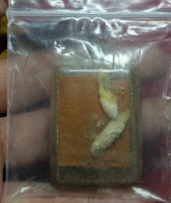 พระทันตธาตุหลวงปูู่่แสวง วัดศิลาวารี อ.เถิน จ.ลำปาง ได้มาจากคุณลุงประเสริฐ อายุ 82 ปี คุณลุงประเสริฐ ได้มาจากลุงสมหมาย อายุ 74 ปี อาชีพขับรถรับส่งคนจากอำเภอเถิน - เข้าเมืองลำปาง และได้รับพระทันตธาตุนี้มาเมื่อปี 2548