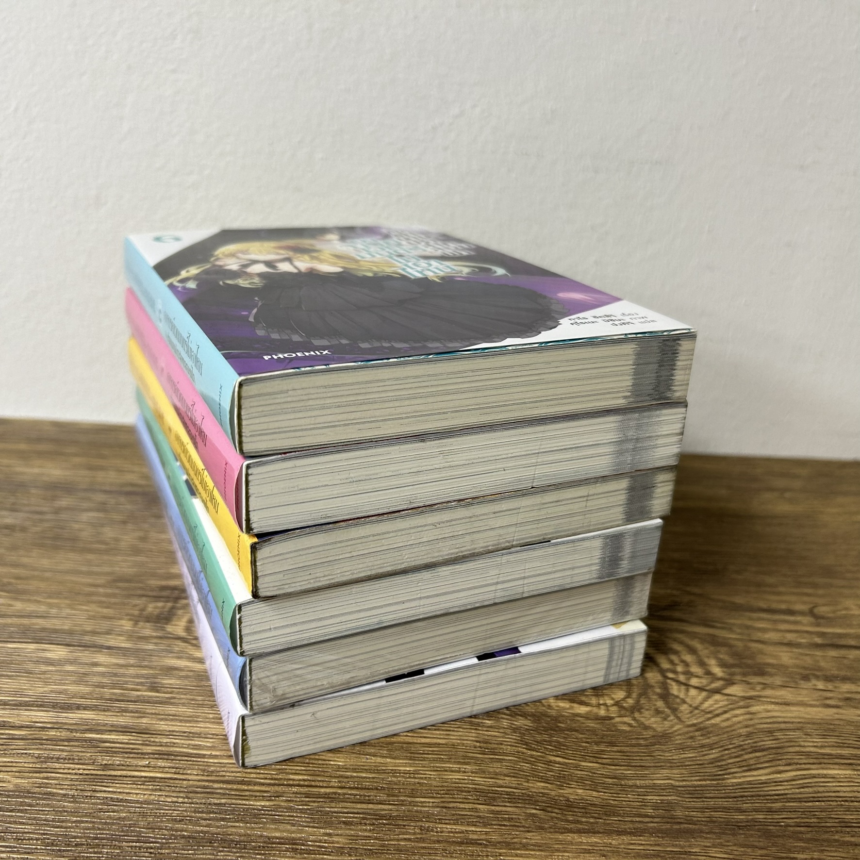 [LIGHT NOVEL] อาจารย์เวทมนตร์ไม่เอาไหน กับตำนานปราสาทลอยฟ้า เล่ม 1-6 ... ทาโร ฮิตสึจิ เขียน (มือสอง) ไลท์โนเวล