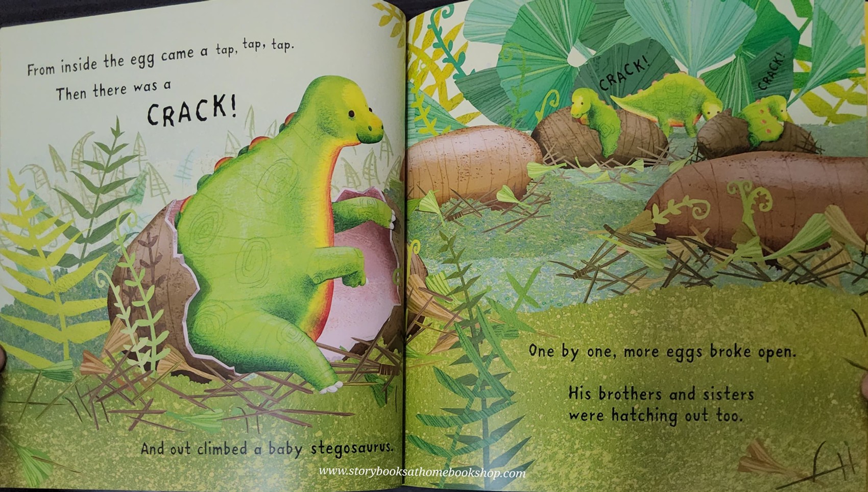 หนังสือนิทานปกอ่อน** 🍅🍓THE DINOSAUR