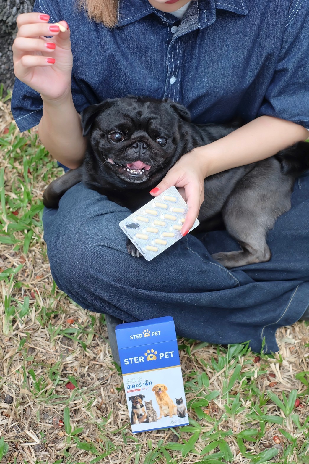 เซตแนะนำ (ชุด 1 เดือน) สเตอร์ เพ็ท Ster Pet เนื้องอกหมาแมว ก้อนเนื้อหมาแมว มะเร็งสุนัขแมว ลดอักเสบ ลดขนาดก้อนเนื้อ ซึม ไม่ร่าเริง เบื่ออาหาร น้ำหนักลด ไตวายหมาแมว แผลยุบเร็ว ( 30 แคปซูล)