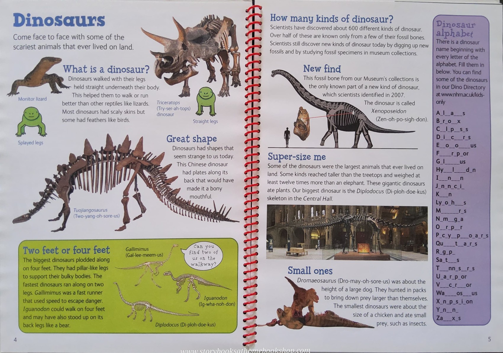 KNOWLEDGE BOOK** 🍓🍓 NATURAL HISTORY MUSEUM KIDS ONLY