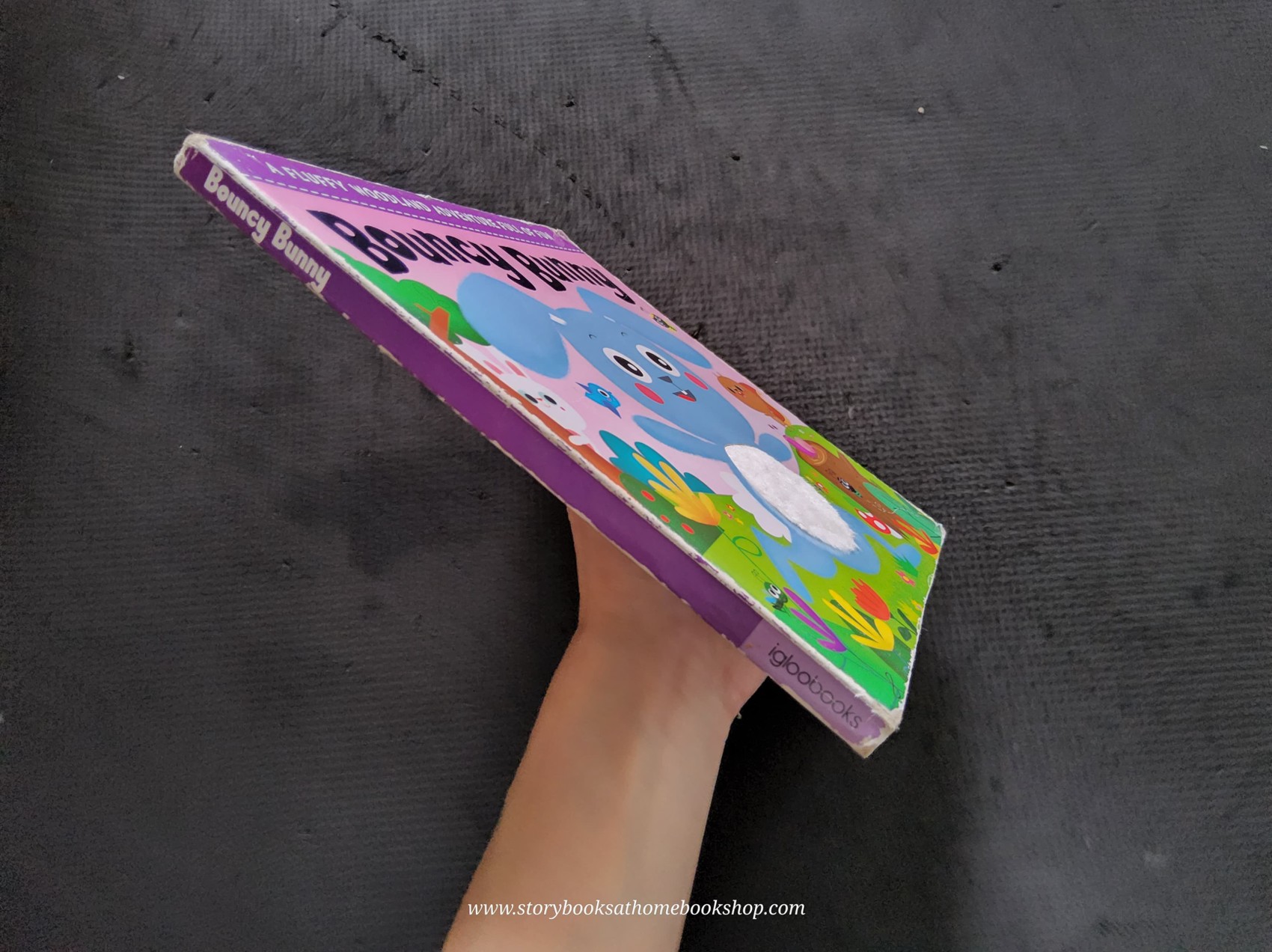 TOUCH AND FEEL Board Book** 🍅🍓BOUNCY BUNNY