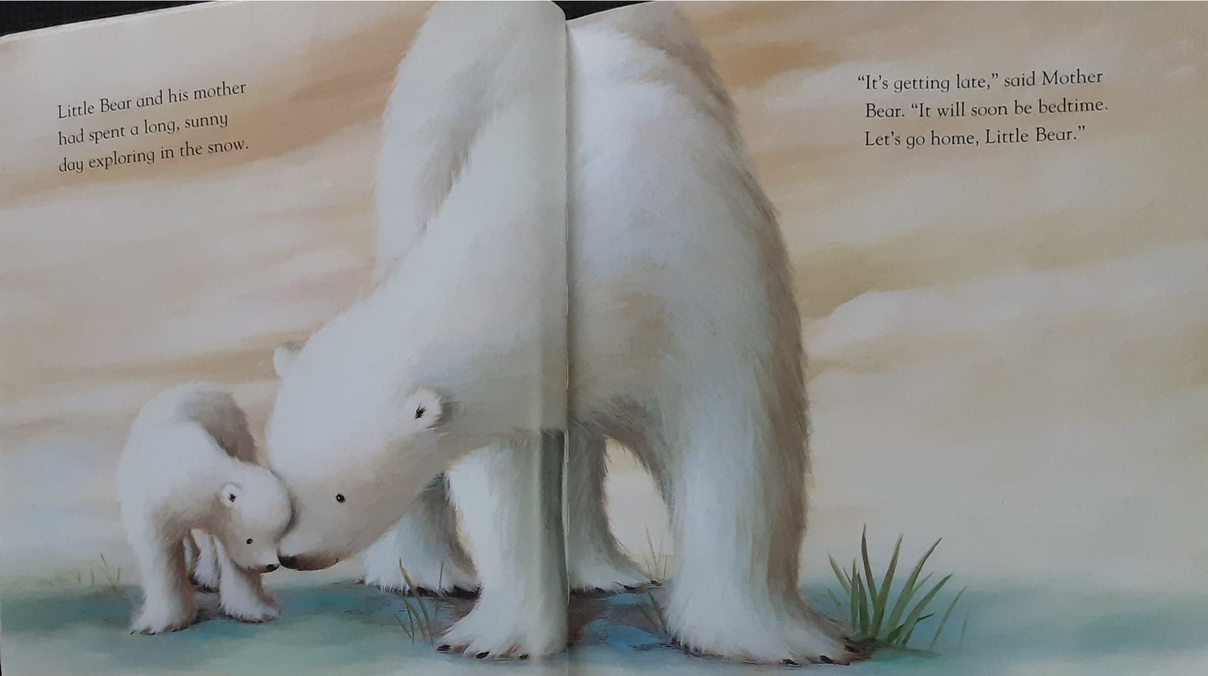 หนังสือนิทานปกอ่อน** 🍅🍓Bedtime for little Bears! (ตำหนิมุม)