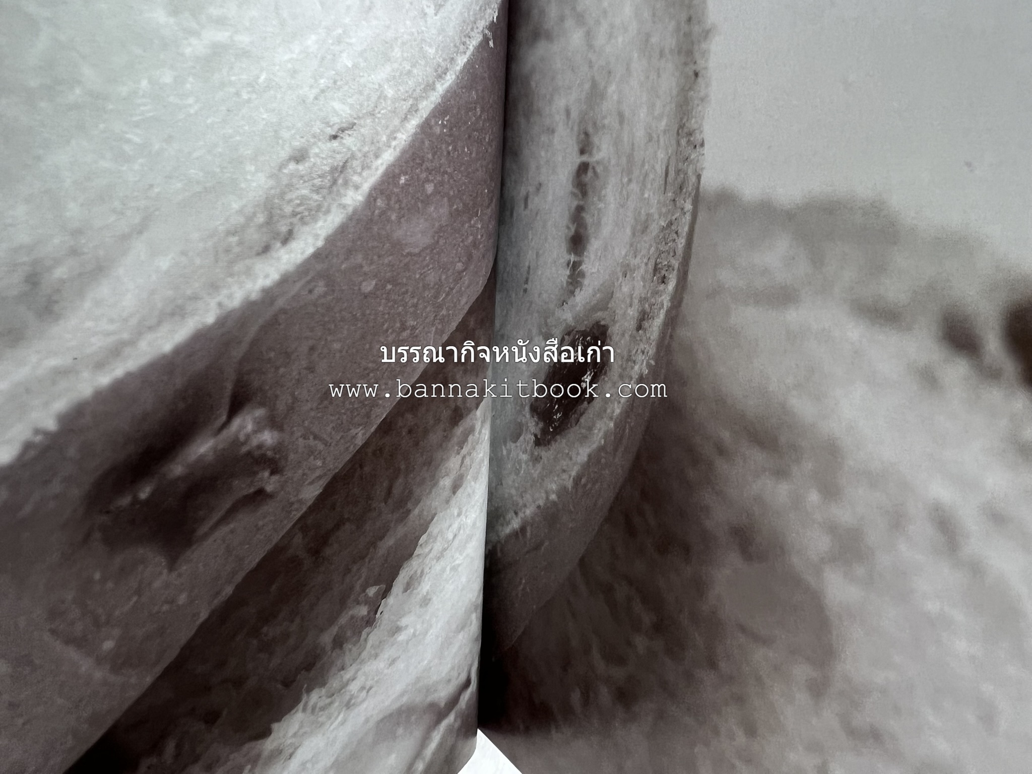 10 Best Breads โดย : ปริสนา บุญสินสุข (หนังสือชุด "10 Best" ของสำนักพิมพ์เวลาดี).