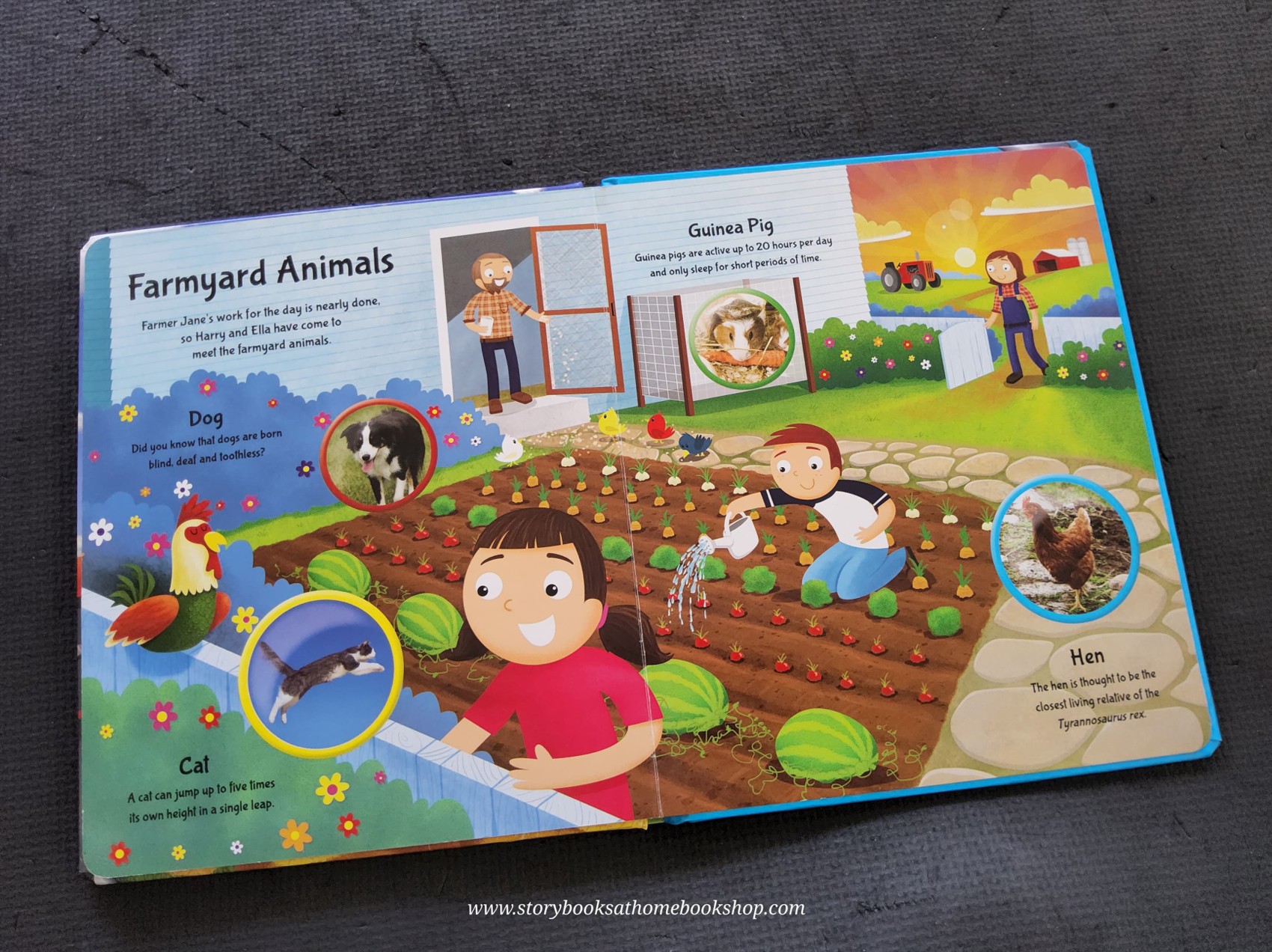 BOARD BOOK** 🍅🍓FARM EXPLORERS