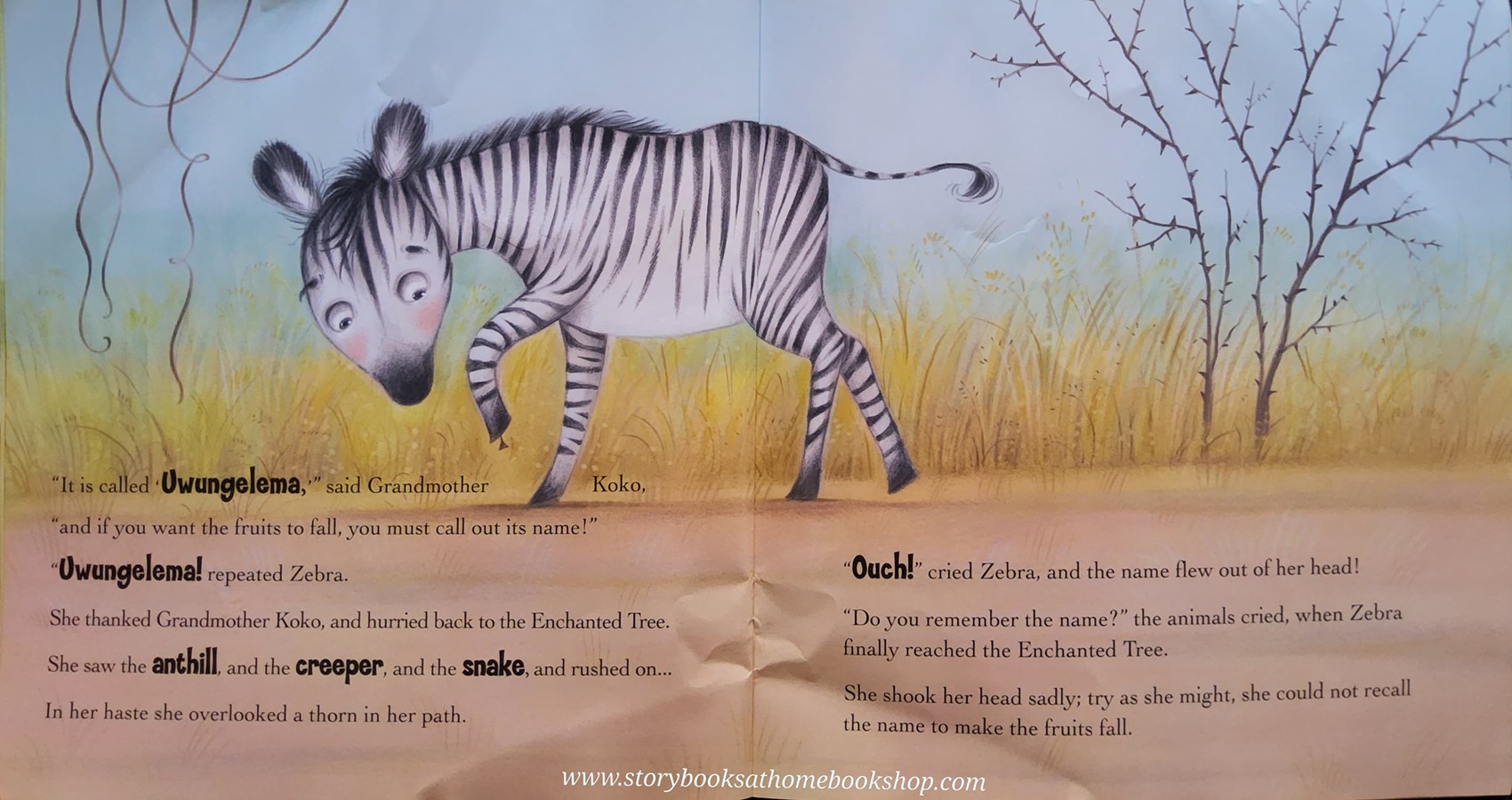 หนังสือนิทานปกอ่อน** 🍅🍓THE ENCHANTED♥️♥️