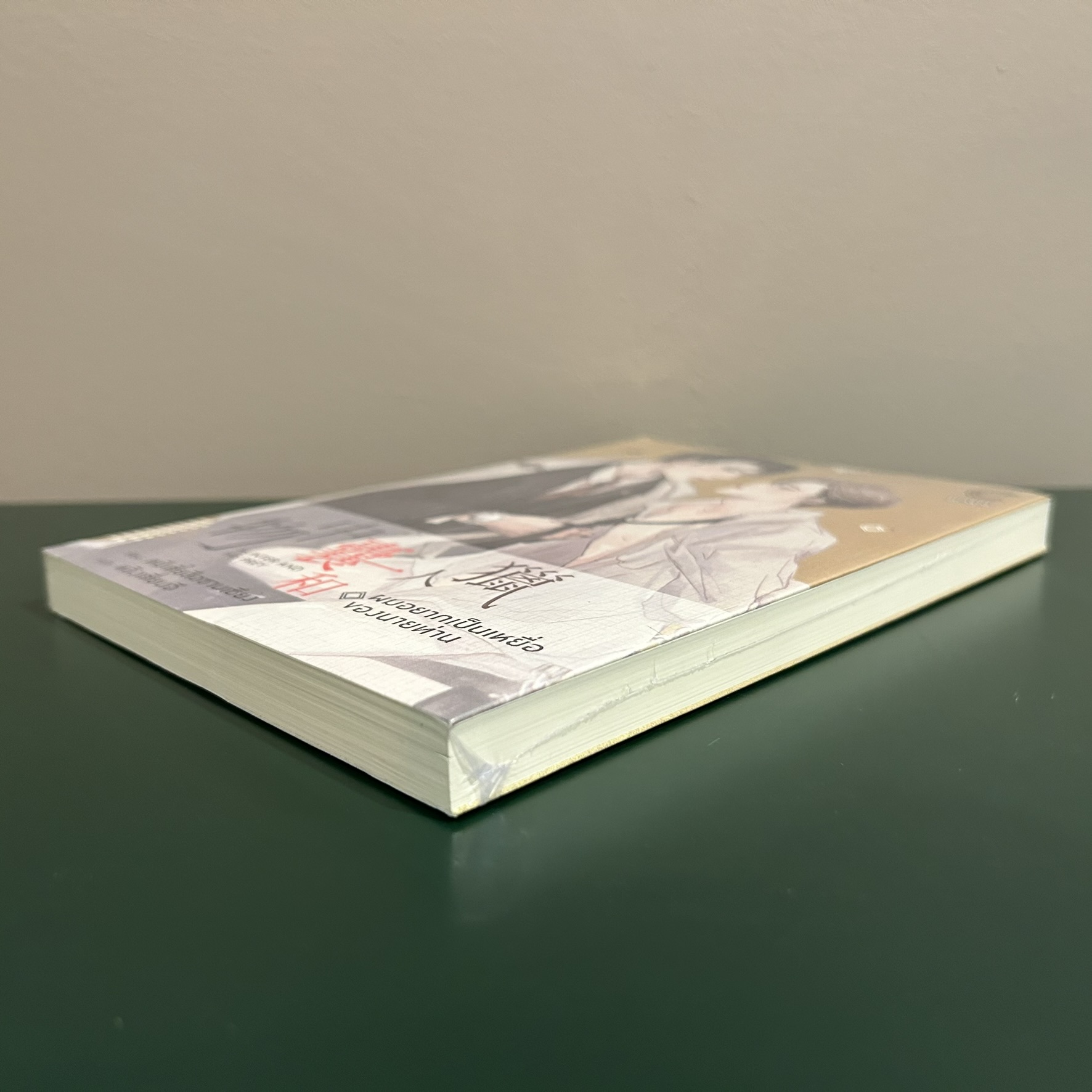 [YAOI] ผมอยากเป็นเหยื่อของนายท่าน ... หมีเตี๋ยสือซานเซียง (มือหนึ่งซีล) แปลจีน นิยายวาย DEEP