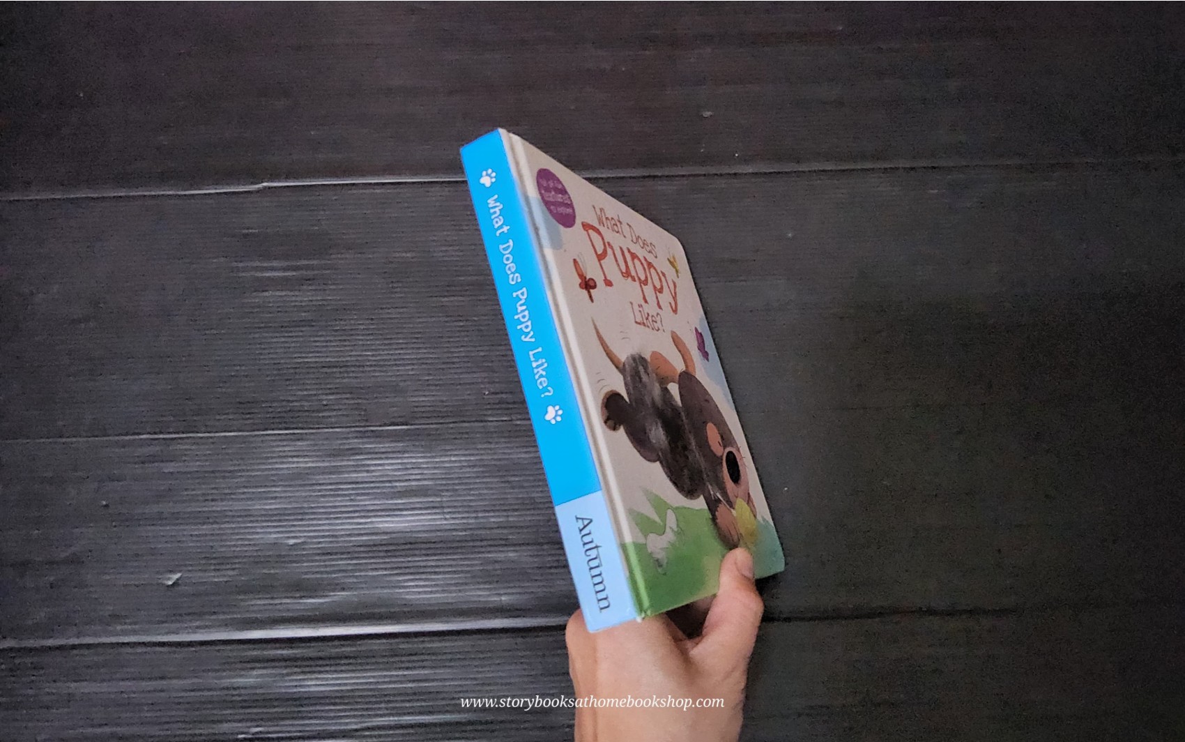 TOUCH AND FEEL BOARD BOOK** ♥️WHAT DOES PUPPY LIKE?