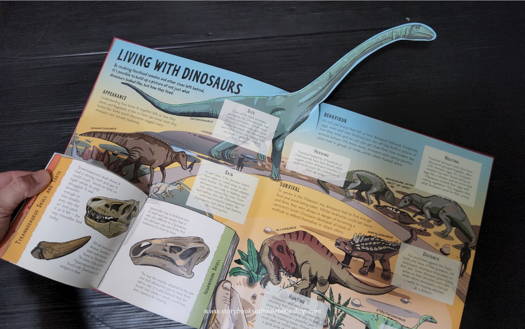 Pop-up Knowledge book ** 🍅🍓 A DAY AT THE DINOSAUR MUSEUM