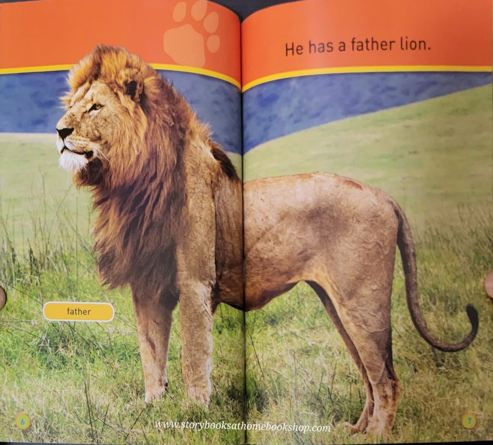 KNOWLEDGE BOOK ** ð
ðNATIONAL GEOGRAPHIC KIDS: GO,CUB! LEVEL1