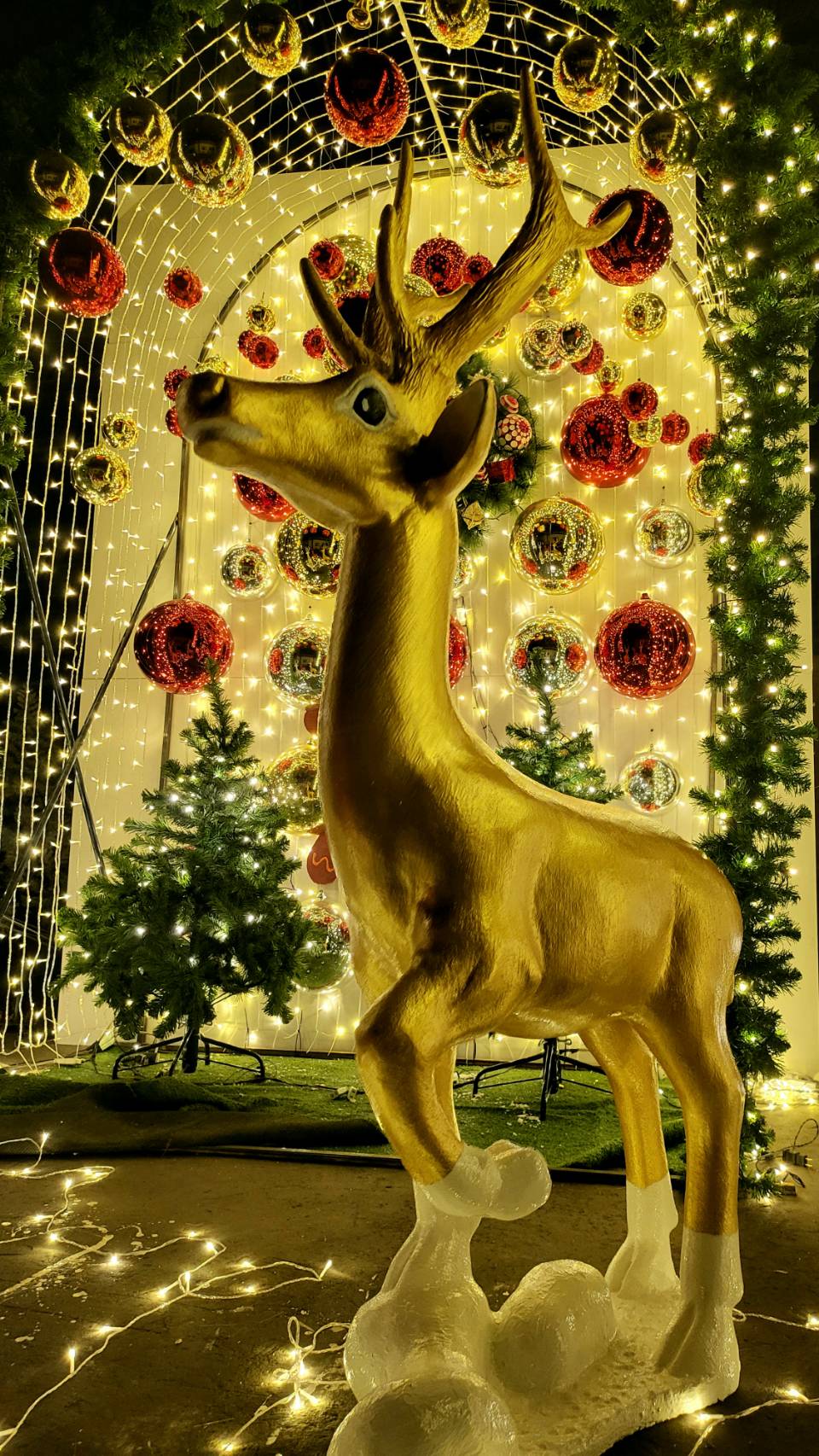 กวางเรนเดียร์คริสต์มาส ขนาด160*148*125 3ตัว
