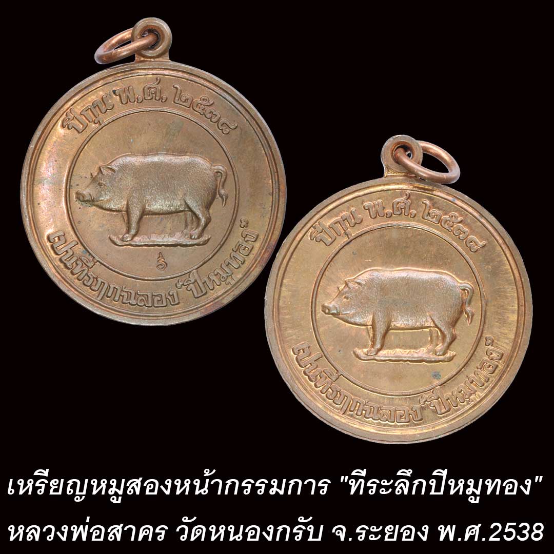 เหรียญหมู พิมพ์ 2 หน้า กรรมการ หลวงพ่อสาคร วัดหนองกรับ ที่ระลึกปีหมูทอง ปี2538