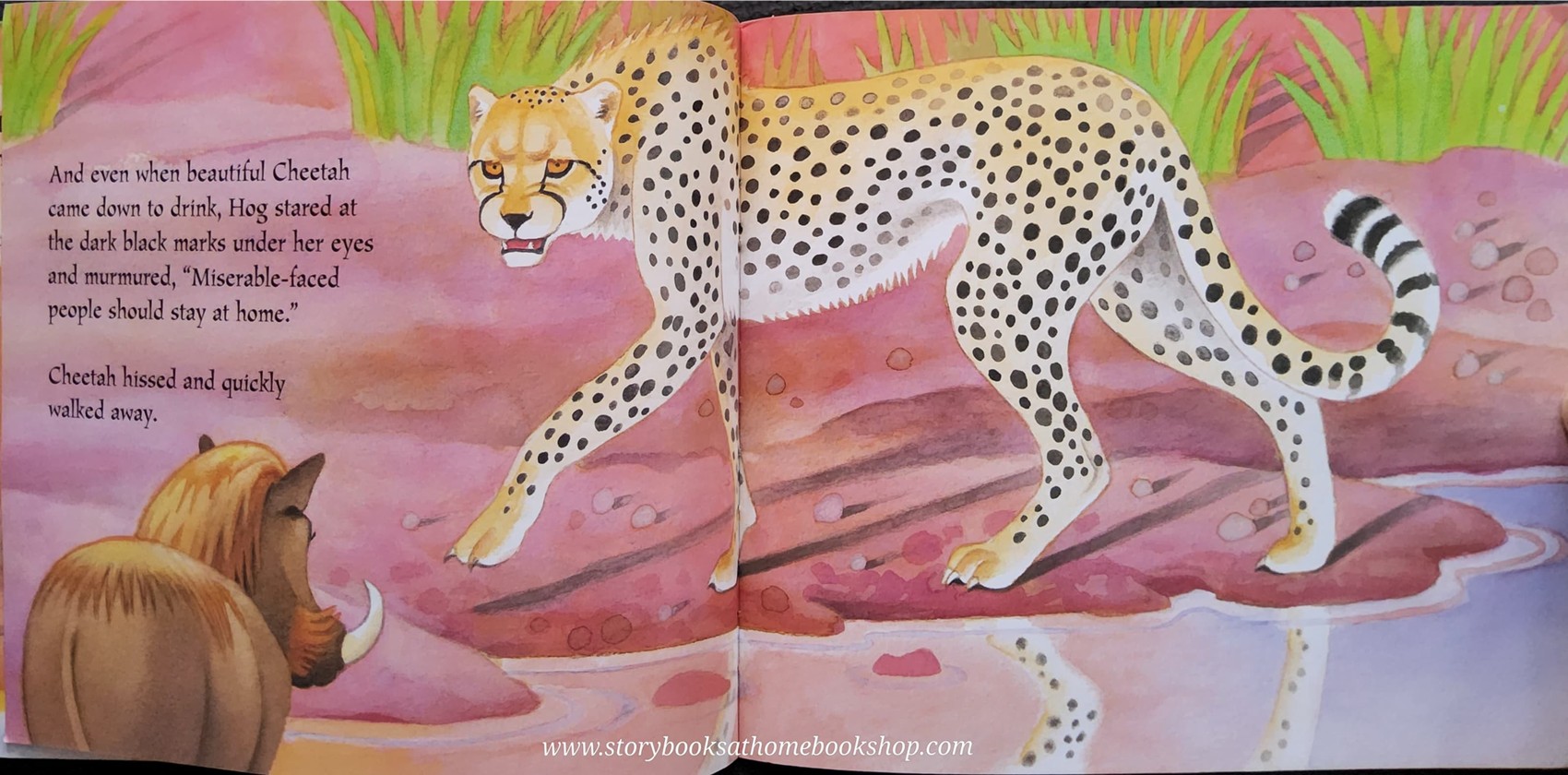 หนังสือนิทานปกอ่อน** 🍅🍅HANDSOME HOG♥️♥️