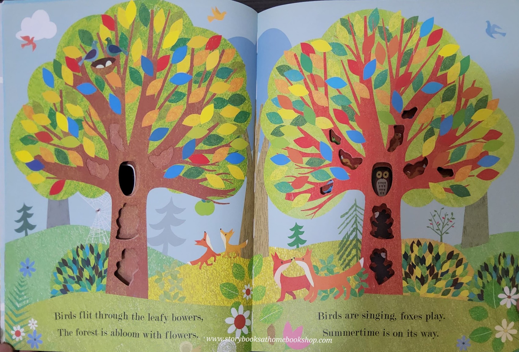 หนังสือนิทานปกอ่อน** 🍓🍓SEASONS COME,SEASONS GO TREE