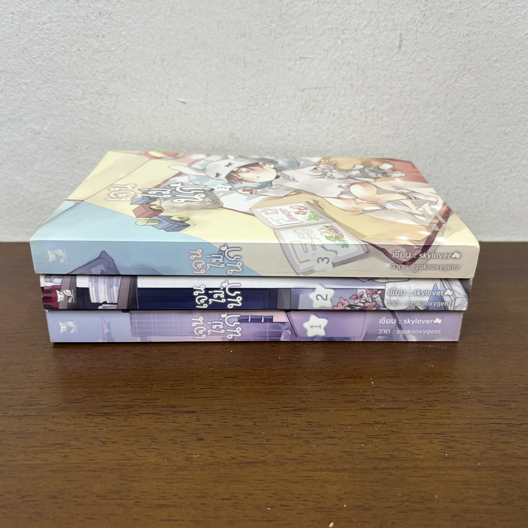 [YAOI] เจนไม่นก เล่ม 1-3 จบ ... Skylover (มือสอง) นิยายวาย Hermit