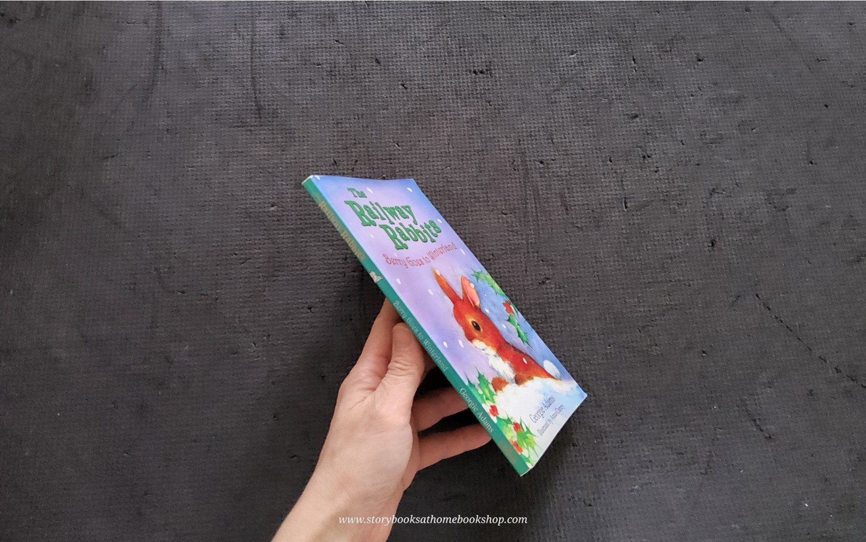 วรรณกรรมเยาวชน** 🍅The Railway Rabbites: Berry Goes to Winterland by Georgie Adams Anna Currey