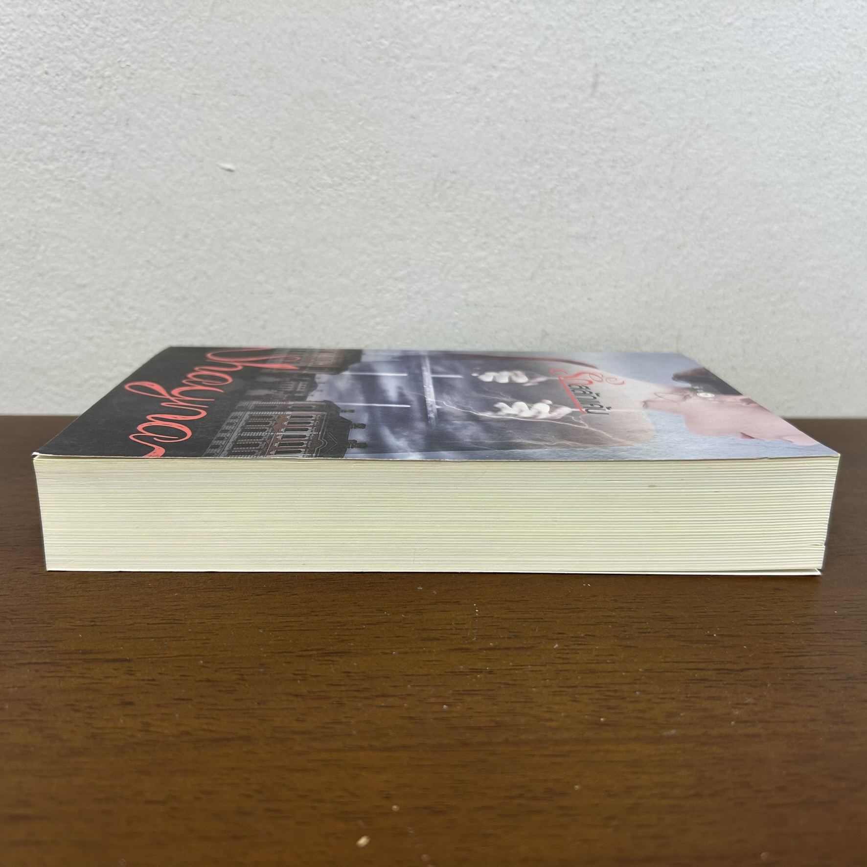 รักสลักแค้น ... Shayna (มือสอง) นิยาย โรมานซ์ พิมพ์คำ