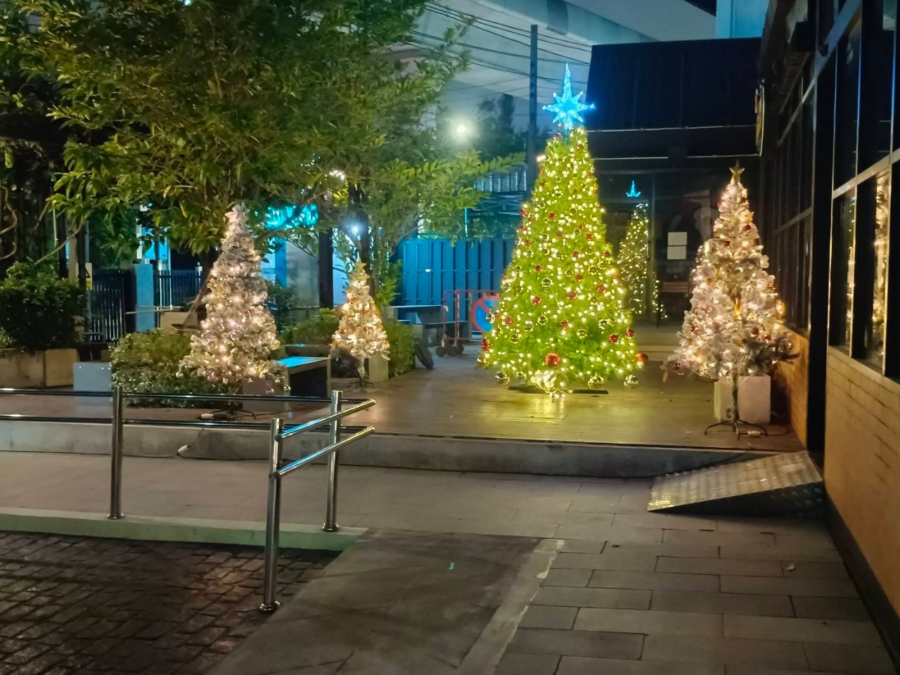 ต้นคริสต์มาสปลอม"ใจกลางเมือง"