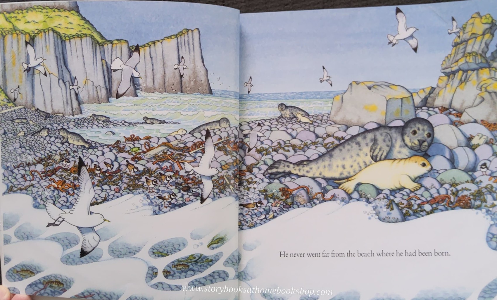 หนังสือนิทานปกอ่อน** 🍅🍓LITTLE SEAL BY BENEDICT BLATHWAYT